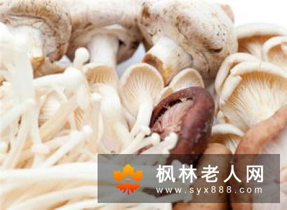 老人饮食秋季老人怎么吃养生