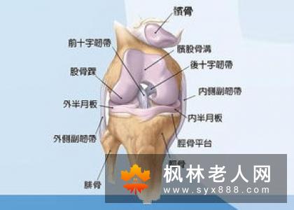 中年健身注意啥？ 骨科医生亲自告诉你