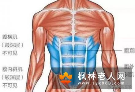 组合锻炼减少肌肉流失
