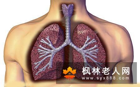 练太极让身体器官更年轻助你实现长寿梦想