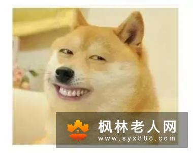 如何做个快乐的“老顽童”