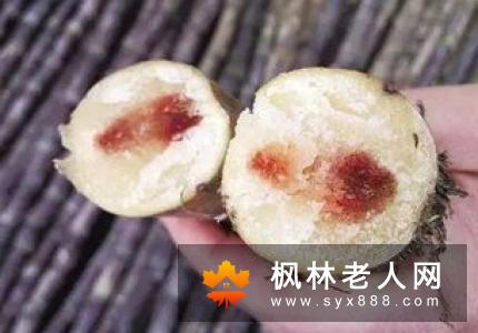 老年人如何正确吃水果
