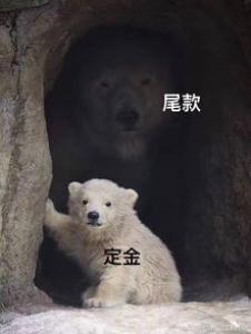天气渐冷 四大配方帮你来忙