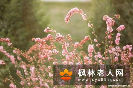 老人要勇敢绽放自己  教你打扮年轻的小绝招