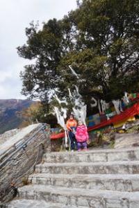 春季旅游好时机 老人出游注意事项