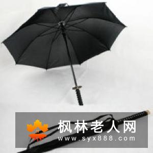 两种武式比较