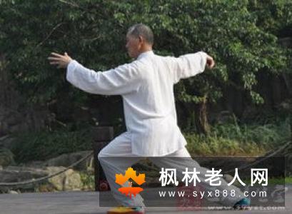 两种武式比较