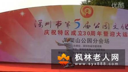 陈式太极拳一路83式口诀