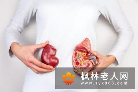 老年人如何养好肾脏 这些要点要谨记