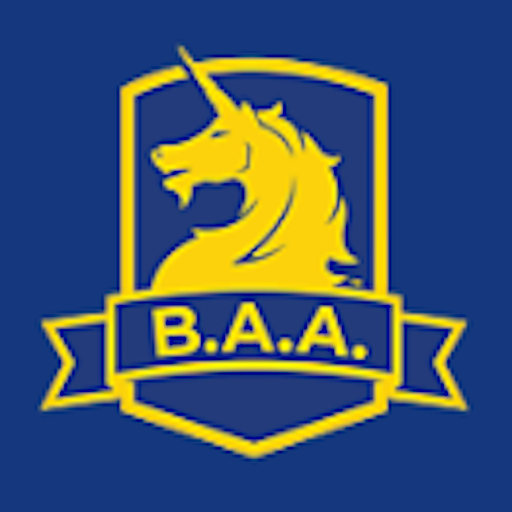 down b.a.a. racing mobile app